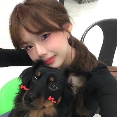 狗狗与你的故事