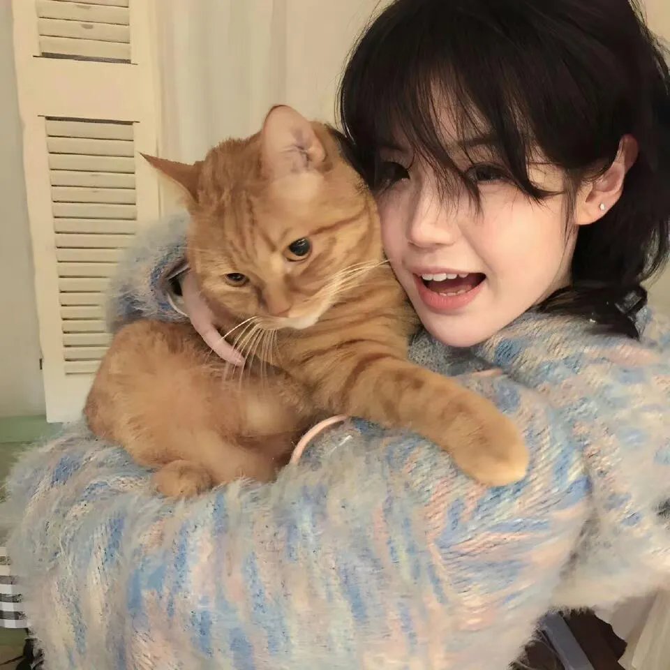 飞驰人生之继承者游戏